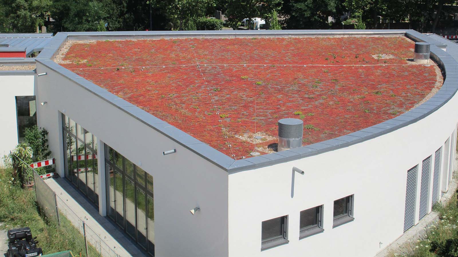 Gründach auf modernem Gebäude mit Vegetation