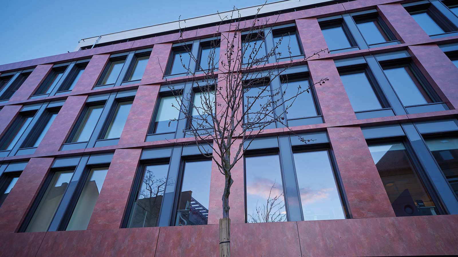 Moderne Fassade mit kahlem Baum davor